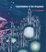 constellation of the dragonfly cover